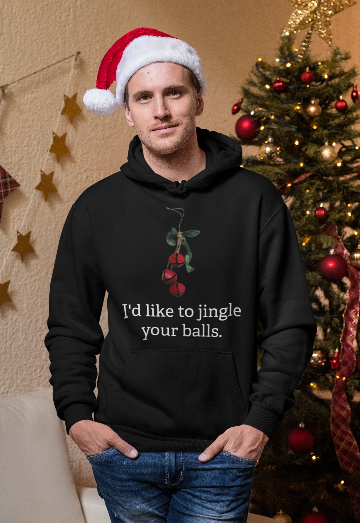 I'd Like to Jingle Your Balls - Christmas  Pullover Hoodie